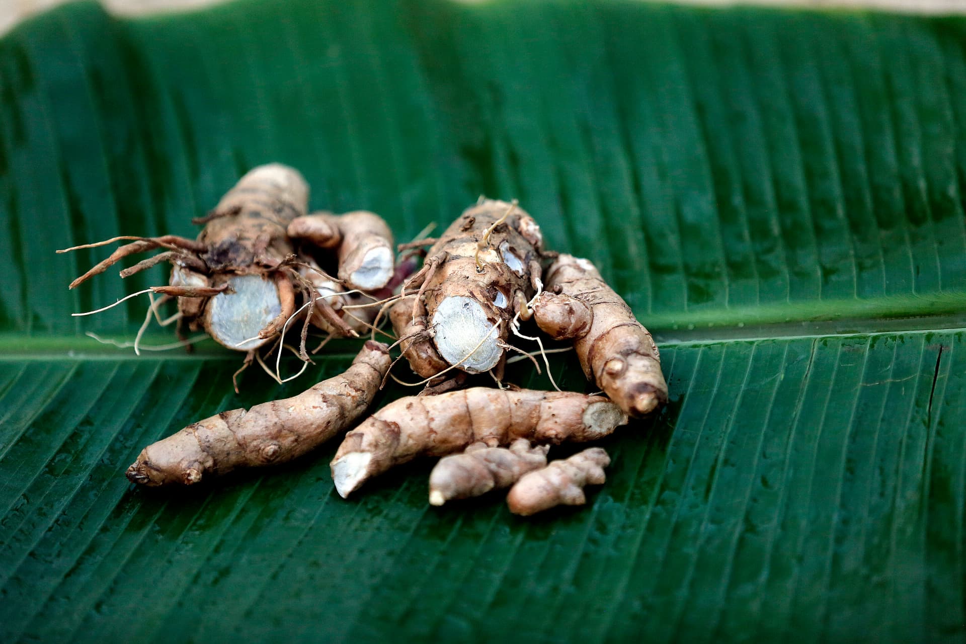 Black Turmeric Powder